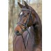 Meteor iemaukti Mountain Horse
